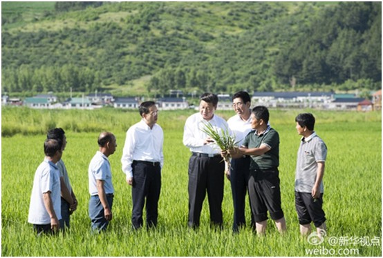 海利集团,长沙杀虫剂,长沙光气衍生物,长沙氨基酸?；ぜ?长沙锂离子电池材料