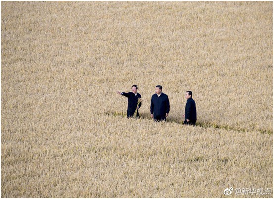 海利集团,长沙杀虫剂,长沙光气衍生物,长沙氨基酸?；ぜ?长沙锂离子电池材料