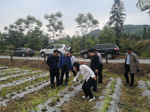 海利集团,长沙杀虫剂,长沙光气衍生物,长沙氨基酸?；ぜ?长沙锂离子电池材料