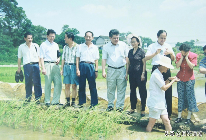 海利集团,长沙杀虫剂,长沙光气衍生物,长沙氨基酸?；ぜ?长沙锂离子电池材料