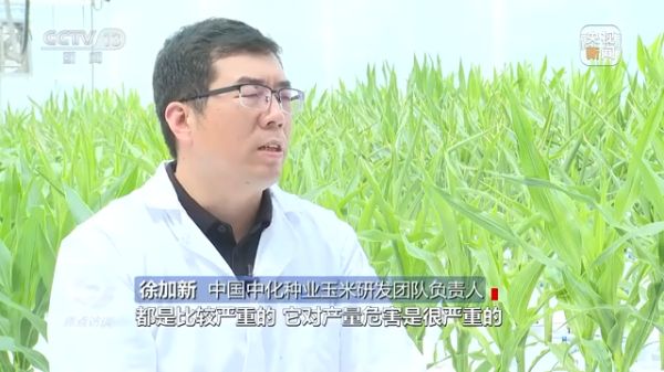 海利集团,长沙杀虫剂,长沙光气衍生物,长沙氨基酸?；ぜ?长沙锂离子电池材料