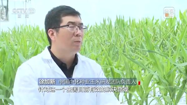 海利集团,长沙杀虫剂,长沙光气衍生物,长沙氨基酸?；ぜ?长沙锂离子电池材料